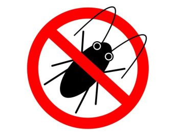 家の中に虫が入ってくるのを予防しよう！
