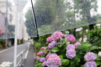 ジメジメ梅雨が来る前に